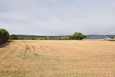 photo no. 8