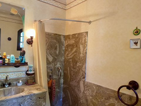 photo no. 11