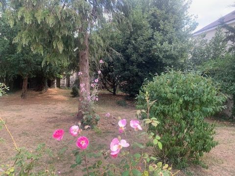 photo no. 11