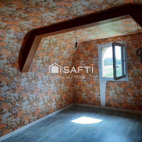 photo no. 11
