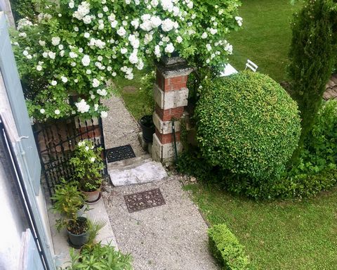 photo no. 19