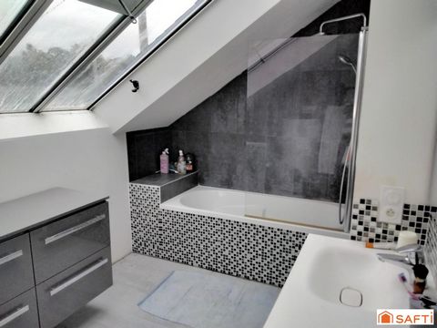 photo no. 9