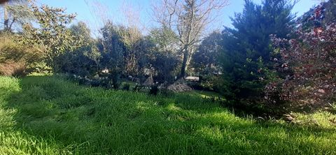 photo no. 21