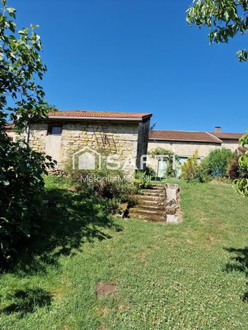 photo no. 15