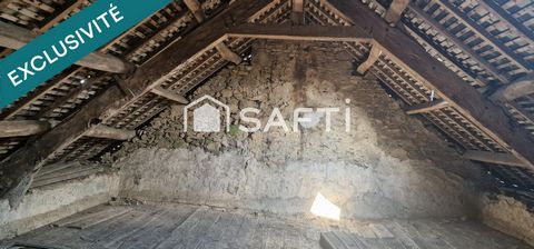 photo no. 13