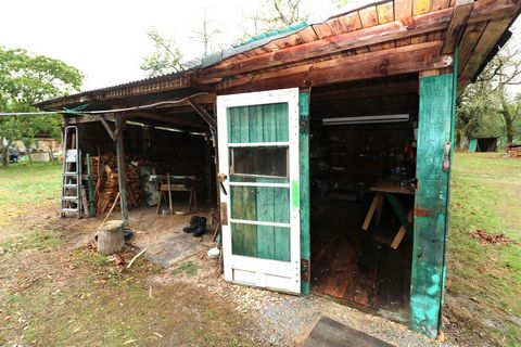 photo no. 9