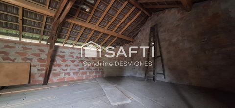 photo no. 9
