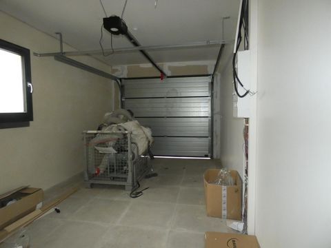 photo no. 9