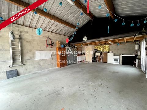 photo no. 10