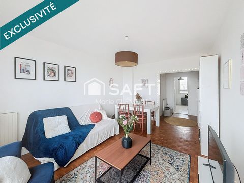 Appartement 4 pièces lumineux avec vu exceptionnelle aucun travaux à prévoir.