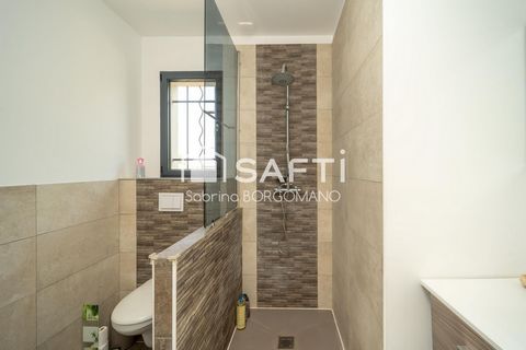 photo no. 11