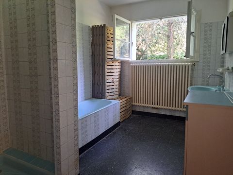 photo no. 11
