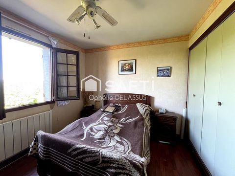 photo no. 7