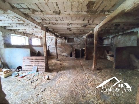 photo no. 11