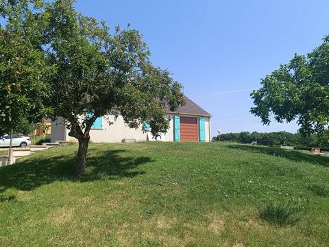 photo no. 5