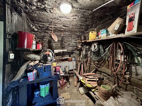 photo no. 7