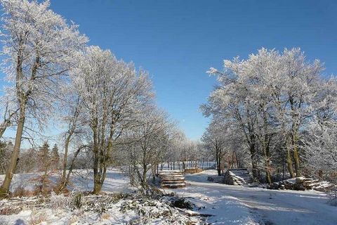 Het 150 m² grote vakantieappartement is gevestigd in een volledig gerenoveerd historisch molengebouw. Het is voorzien van aardwarmte. Het beschikt over een eigen ingang, 5 slaapkamers, een woonkamer, 2 badkamers, een gastentoilet, een volledig uitger...