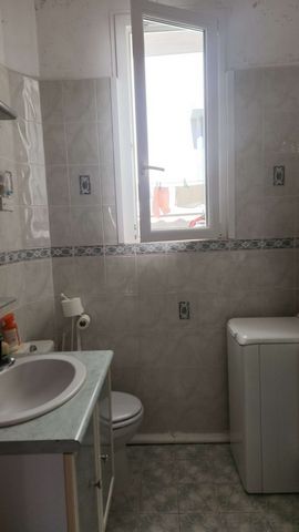 photo no. 7