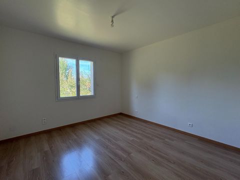 photo no. 16