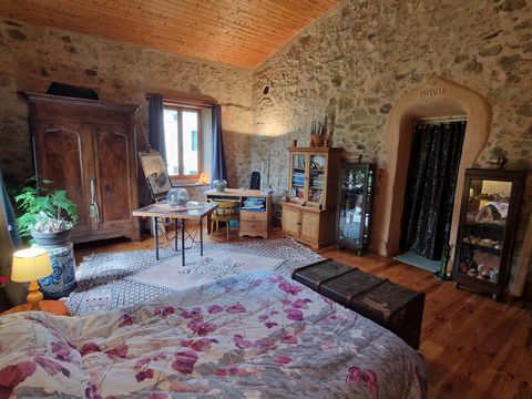 photo no. 13