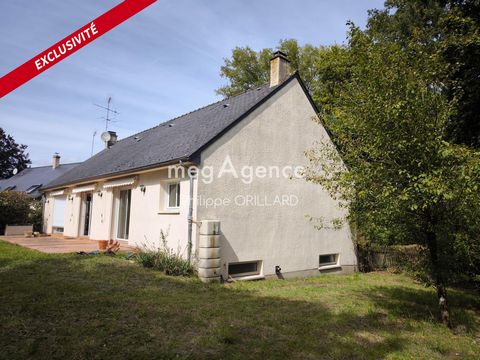 photo no. 13