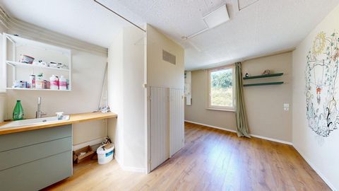photo no. 12
