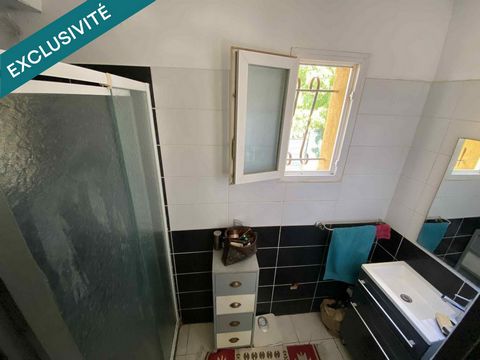 photo no. 11