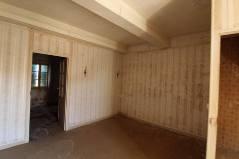 photo no. 8