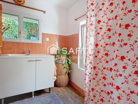 photo no. 10