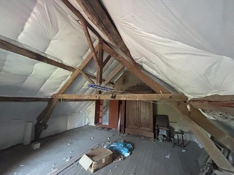 photo no. 4