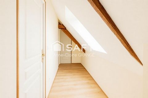 photo no. 12