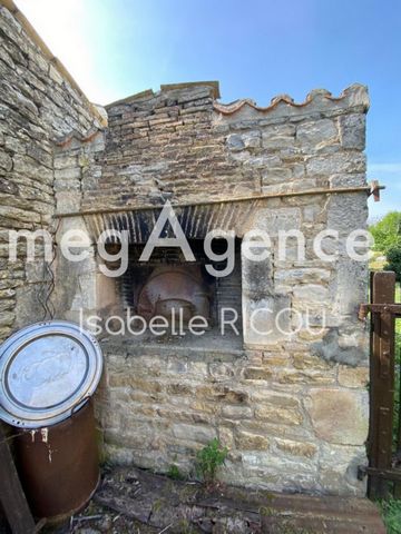 photo no. 18