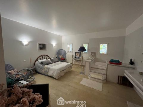 photo no. 12