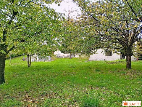 photo no. 11