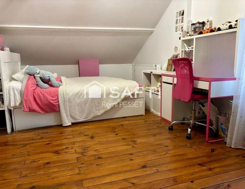photo no. 6