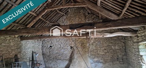 photo no. 13