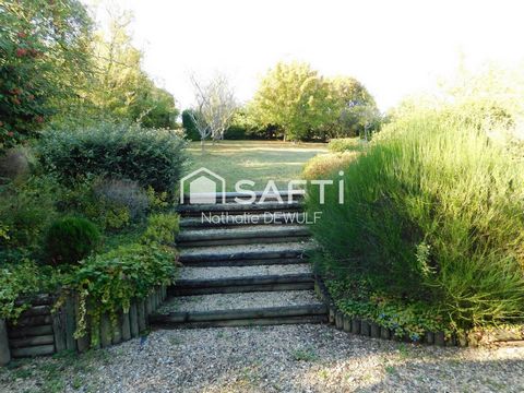 photo no. 16