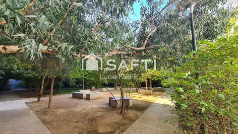 photo no. 11