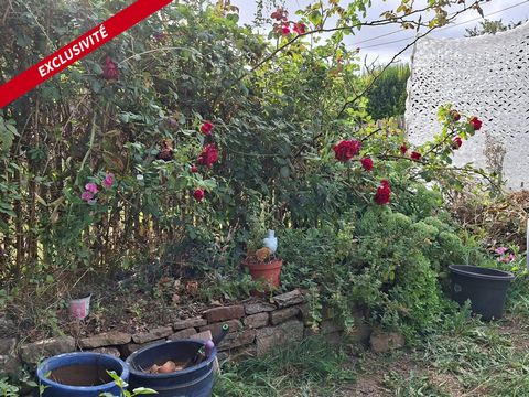 photo no. 11