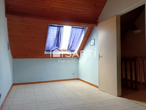 photo no. 8