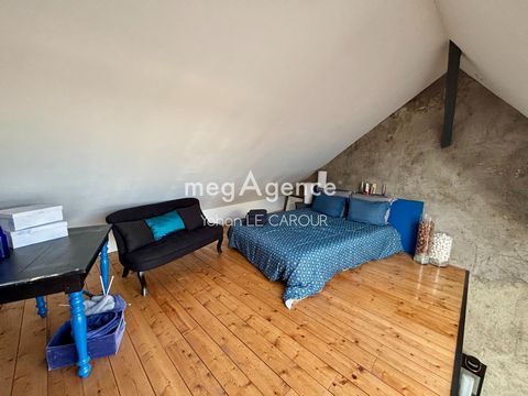 photo no. 12