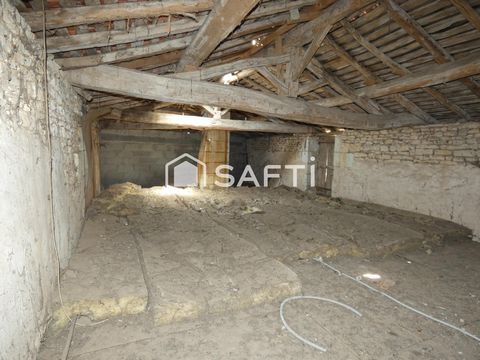 photo no. 7