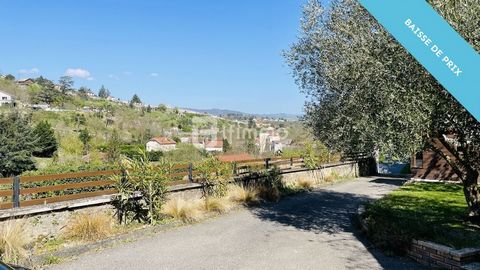 photo no. 16