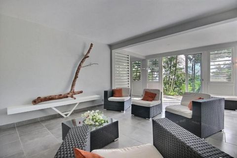 photo no. 11