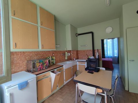 photo no. 11