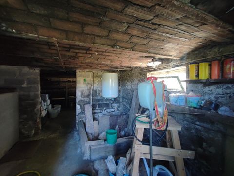photo no. 17