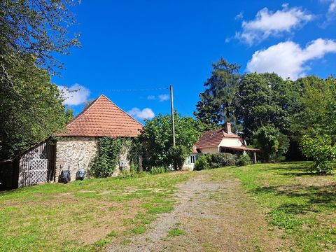 photo no. 4