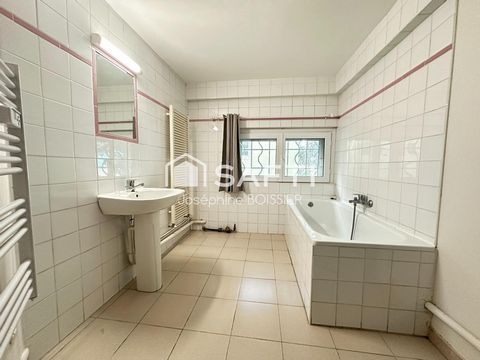 photo no. 13