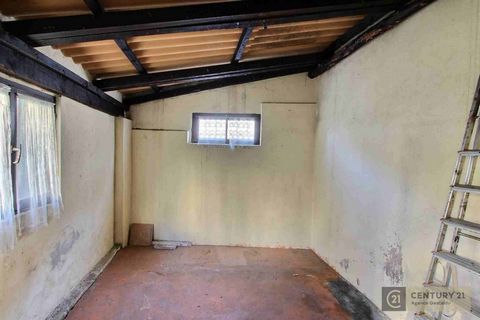 photo no. 15