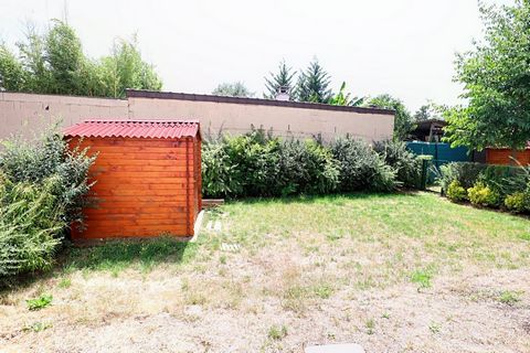photo no. 6